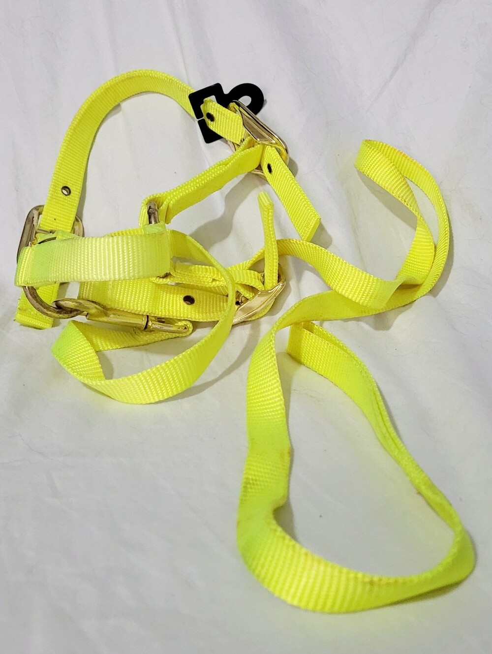 Valhoma Yellow Nylon Sheep Halter w/ Adjustable Chin & 5' Lead NOS